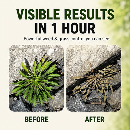 🔥 2026 Flash Sale! Fast-Acting Natural Weed Killer Spray – Buy 2 Get 1 Free