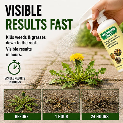 🔥 2026 Flash Sale! Fast-Acting Natural Weed Killer Spray – Buy 2 Get 1 Free