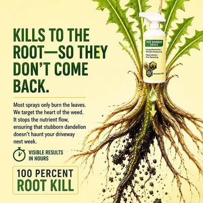 🔥 2026 Flash Sale! Fast-Acting Natural Weed Killer Spray – Buy 2 Get 1 Free